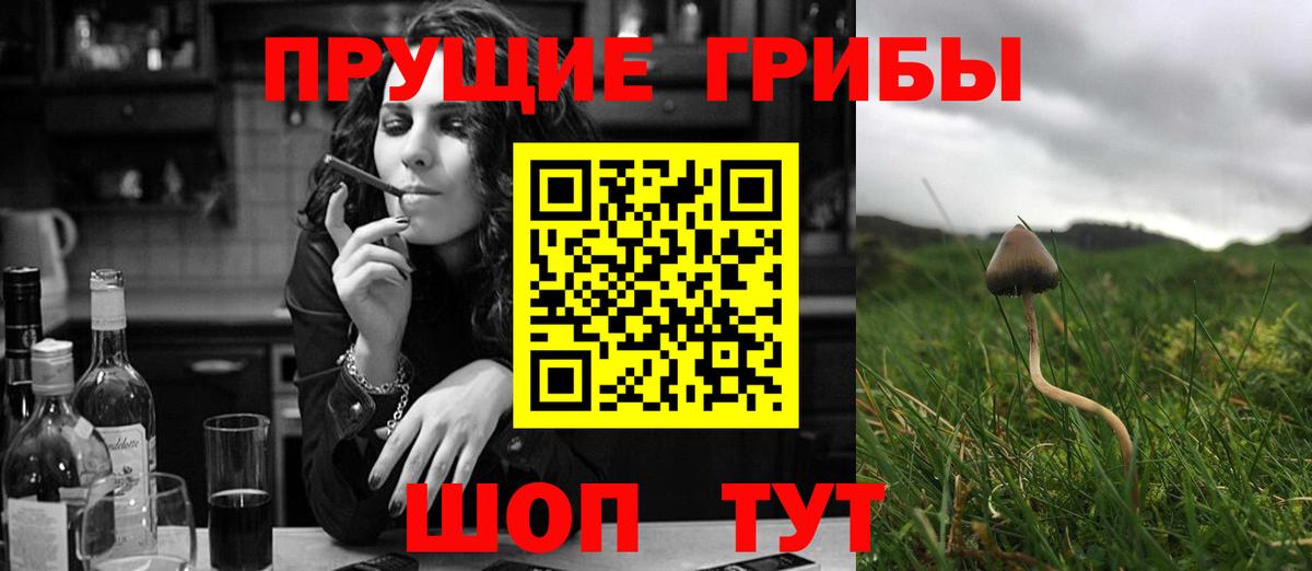 Псилоцибиновые грибы GOLDEN TEACHER  Вход с VPN  купить наркотик  Артёмовский 